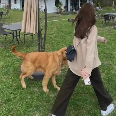 珍爱 海报