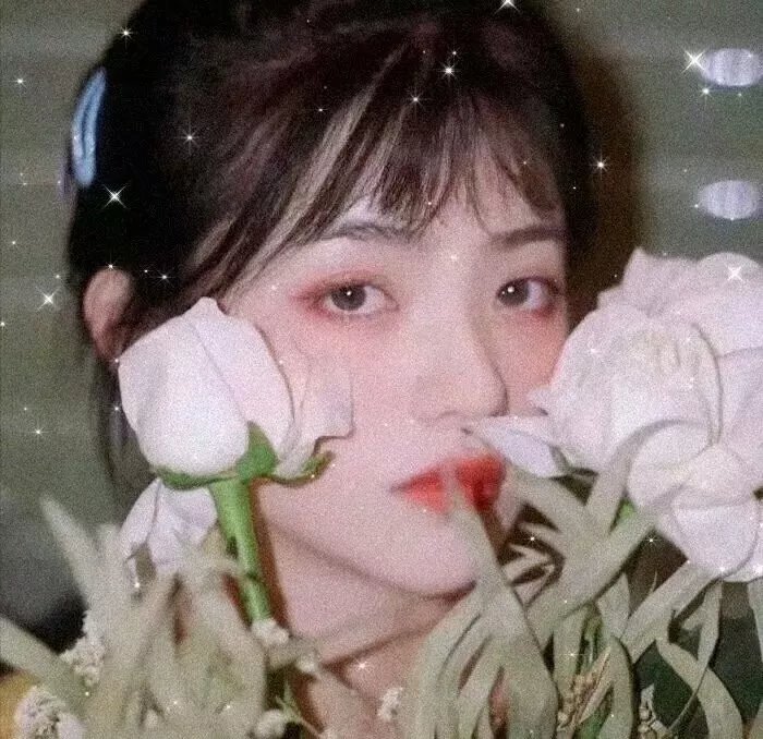 幸福的白天鹅 海报